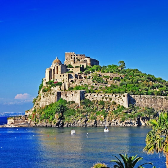 Ischia Island Discovery & Food Tour from Sorrento