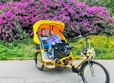 Central Park, NYC: Tur Becak di Lokasi Film