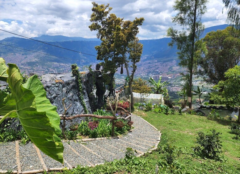 Picture 9 for Activity Medellin: Glamping Spa and coffee tour Experience