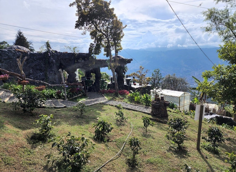 Medellin: Glamping Spa and coffee tour Experience
