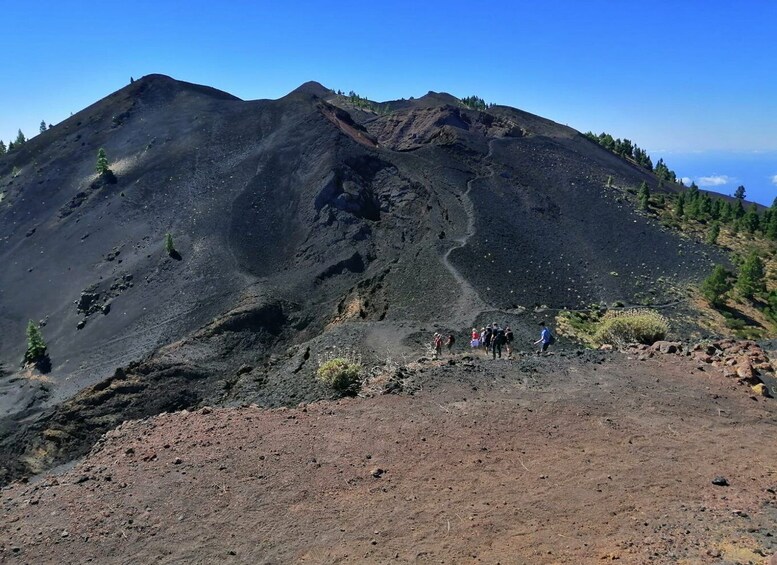 Picture 6 for Activity La Palma: Guided trekking tour to volcanoes south