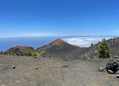 La Palma: Guidet fottur til vulkanene i sør