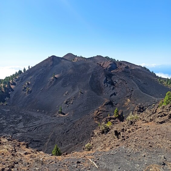 Picture 1 for Activity La Palma: Guided trekking tour to volcanoes south