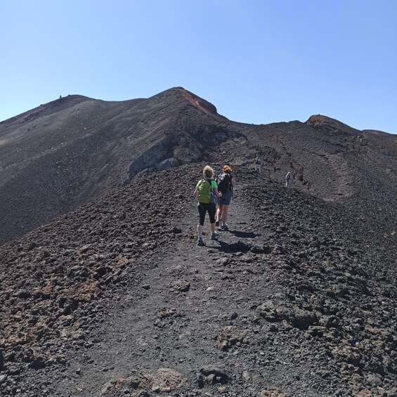Picture 2 for Activity La Palma: Guided trekking tour to volcanoes south