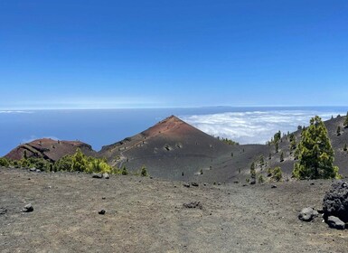 拉帕爾馬島：帶導遊健行遊覽 前往南部火山