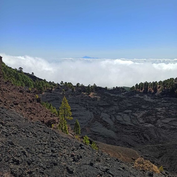 Picture 3 for Activity La Palma: Guided trekking tour to volcanoes south