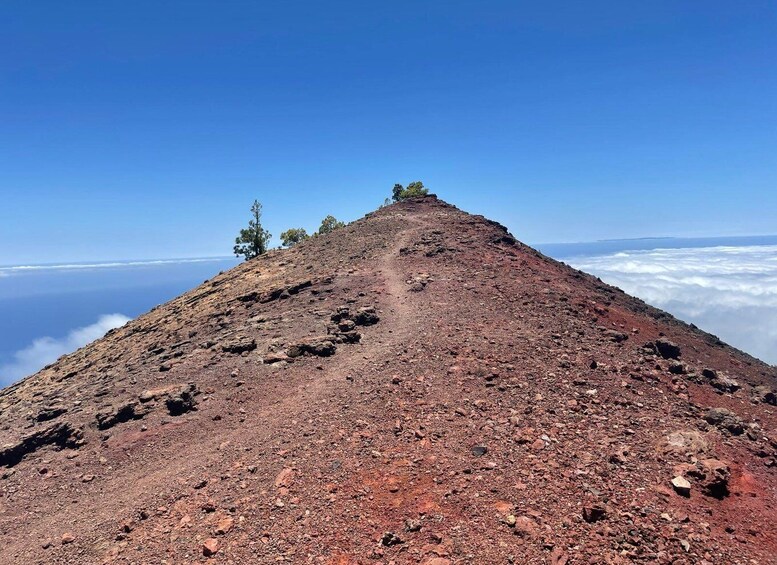 Picture 4 for Activity La Palma: Guided trekking tour to volcanoes south