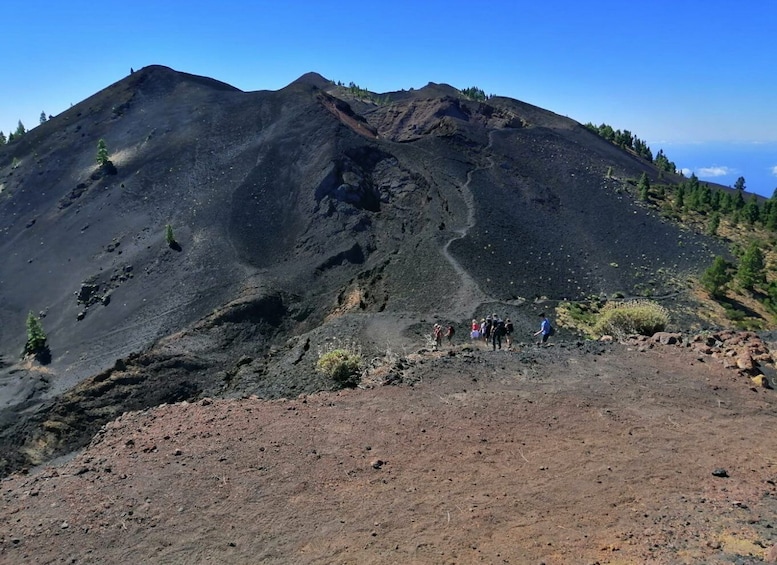 Picture 6 for Activity La Palma: Guided trekking tour to volcanoes south
