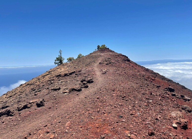 Picture 4 for Activity La Palma: Guided trekking tour to volcanoes south