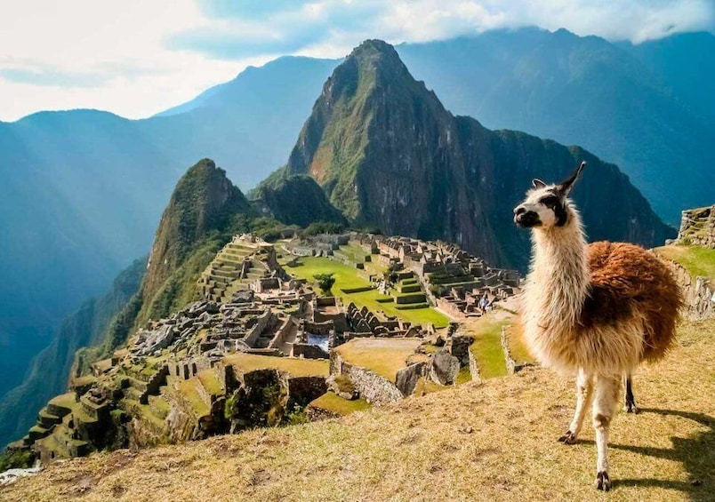 Picture 9 for Activity From Lima: Ica, City tour Cusco,Mistic Machu picchu for 5Day