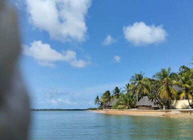 Crucero privado en dhow por Lamu (excursión de un día): isla Manda Toto