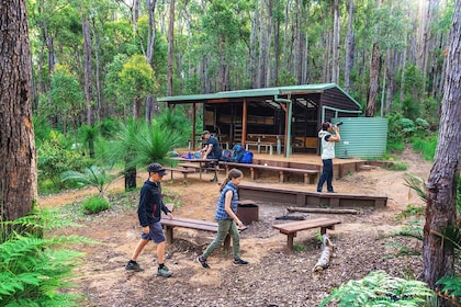 Dwellingup: Pack 'n' Paddle Self-Guided Tour