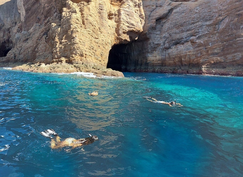 Picture 4 for Activity From Ilha Terceira: Ilhéu das Cabras Snorkeling Boat Tour