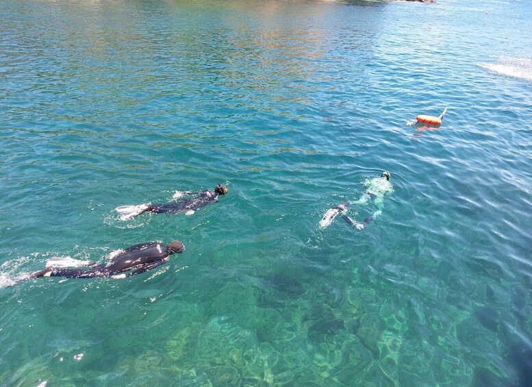 Picture 3 for Activity From Ilha Terceira: Ilhéu das Cabras Snorkeling Boat Tour