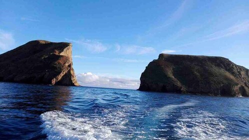 Desde Ilha Terceira: recorrido en barco de esnórquel por Ilhéu das Cabras