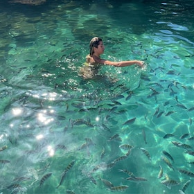 Ilha Grande: Nade com os peixinhos nas Lagoas Azul e Verde.