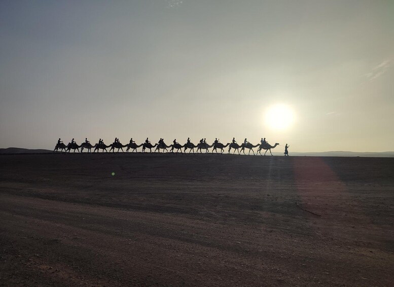 Picture 8 for Activity Marrakesh: Agafay Desert Sunset, Camel Ride, Dinner and Show