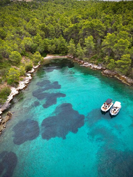 Picture 10 for Activity From Split: Trogir, Blue Lagoon Half-Day Cruise