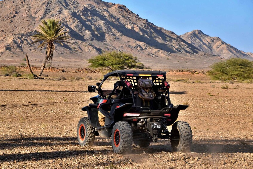 Picture 8 for Activity Boa Vista: Buggy Death Valley Adventure 2h