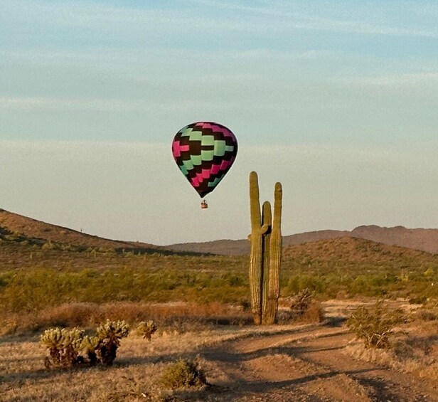 Picture 2 for Activity Epic Sonoran Sunrise Balloon Flight