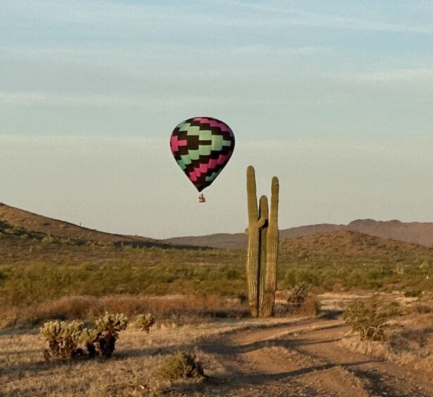 Picture 2 for Activity Epic Sonoran Sunrise Balloon Flight
