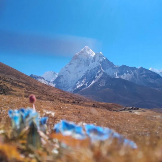 Picture 1 for Activity Everest Base Camp Trek with Sunset view from Kalapathar