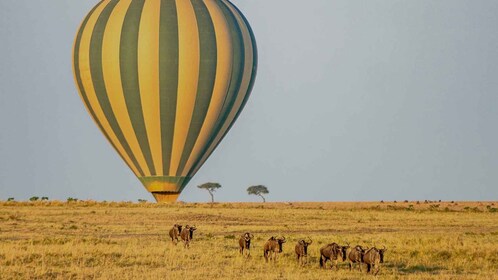 4-Days Maasai Mara Safari Combined with Hot Air Balloon Ride