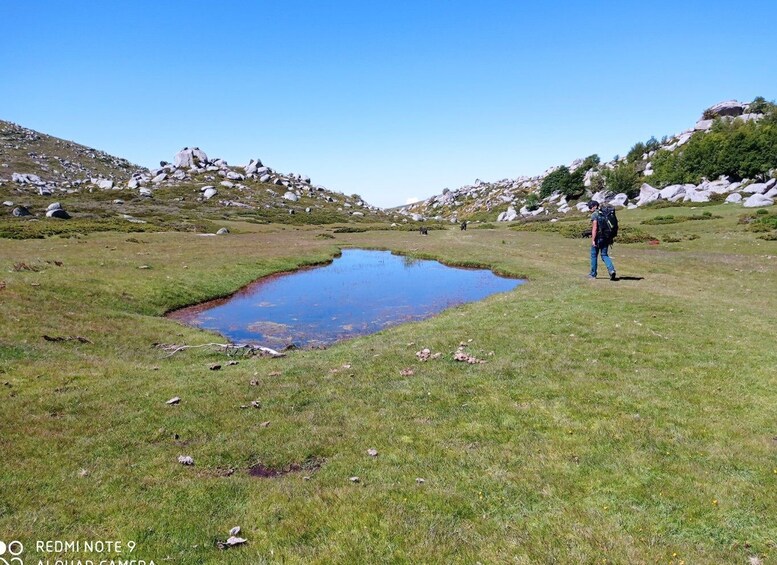 Cuscionu's plateau, 1000 waterholes'grass : pozzines