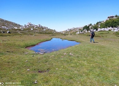 Cuscionu's plateau, 1000 waterholes'grass : pozzines
