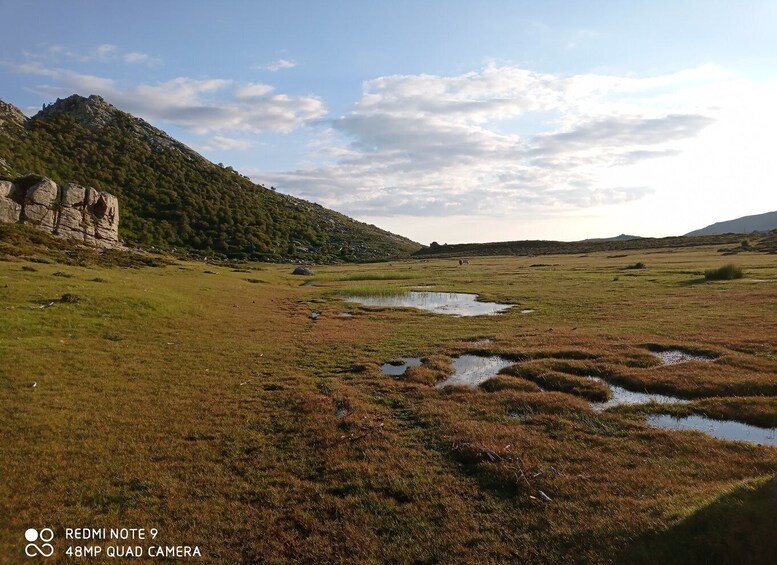 Picture 3 for Activity Cuscionu's plateau, 1000 waterholes'grass : pozzines