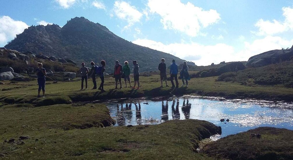 Picture 5 for Activity Cuscionu's plateau, 1000 waterholes'grass : pozzines