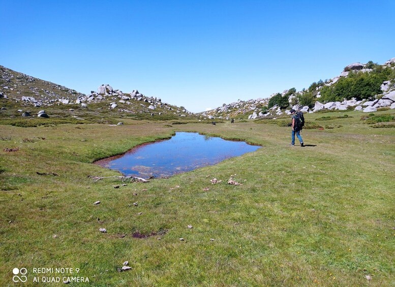 Cuscionu's plateau, 1000 waterholes'grass : pozzines