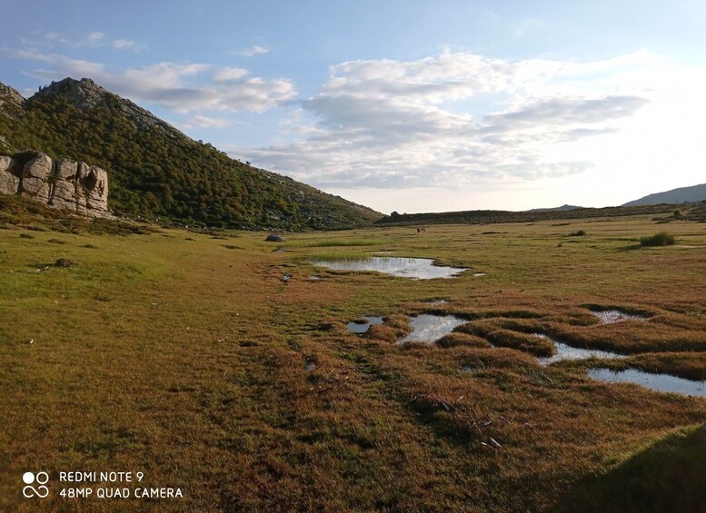 Picture 3 for Activity Cuscionu's plateau, 1000 waterholes'grass : pozzines