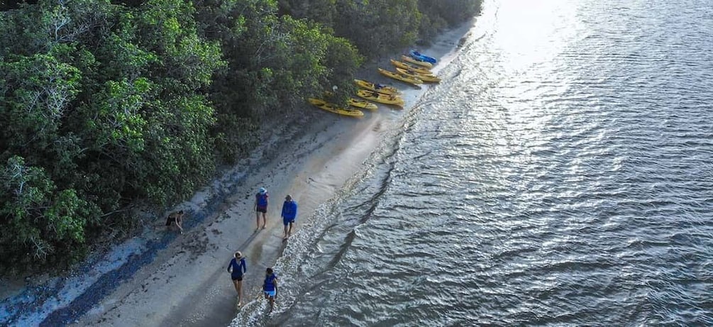 Picture 2 for Activity Salt River Bay: Half-Day Kayak Rental