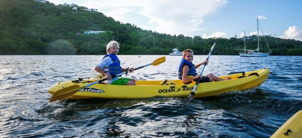 Picture 1 for Activity Salt River Bay: Half-Day Kayak Rental