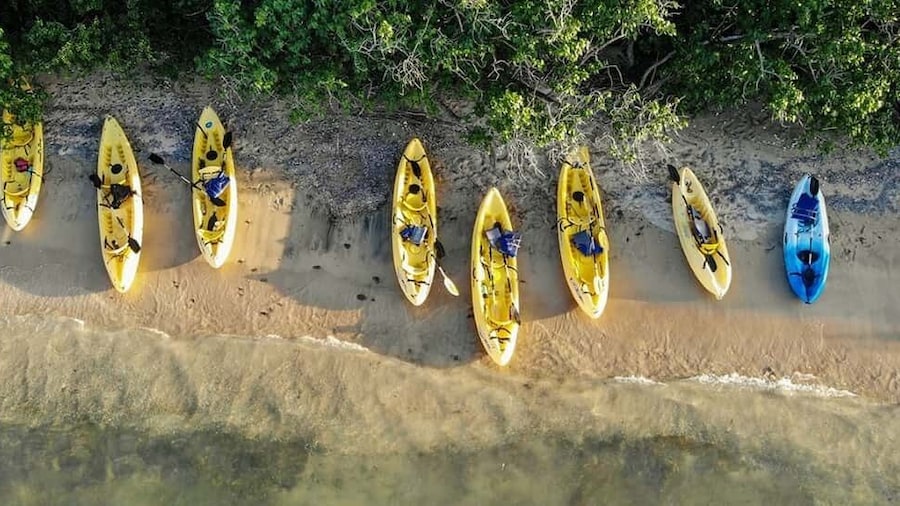 Salt River Bay: Half-Day Kayak Rental