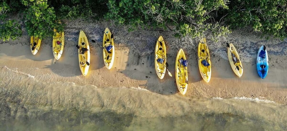 Salt River Bay: Half-Day Kayak Rental