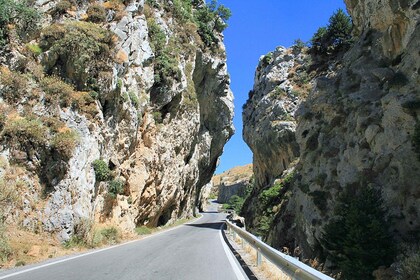 原产克里特岛：Kourtaliotis、Preveli、Plakias、Argyroupoli