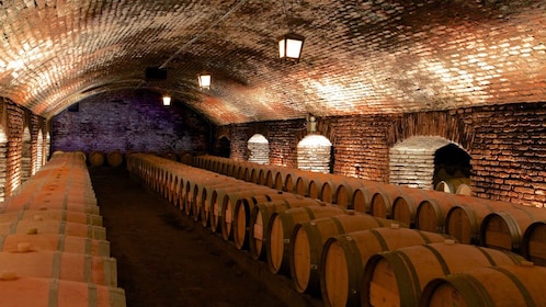 Santiago: Concha y Toro Weinberg Tour mit Transfer & Verkostung