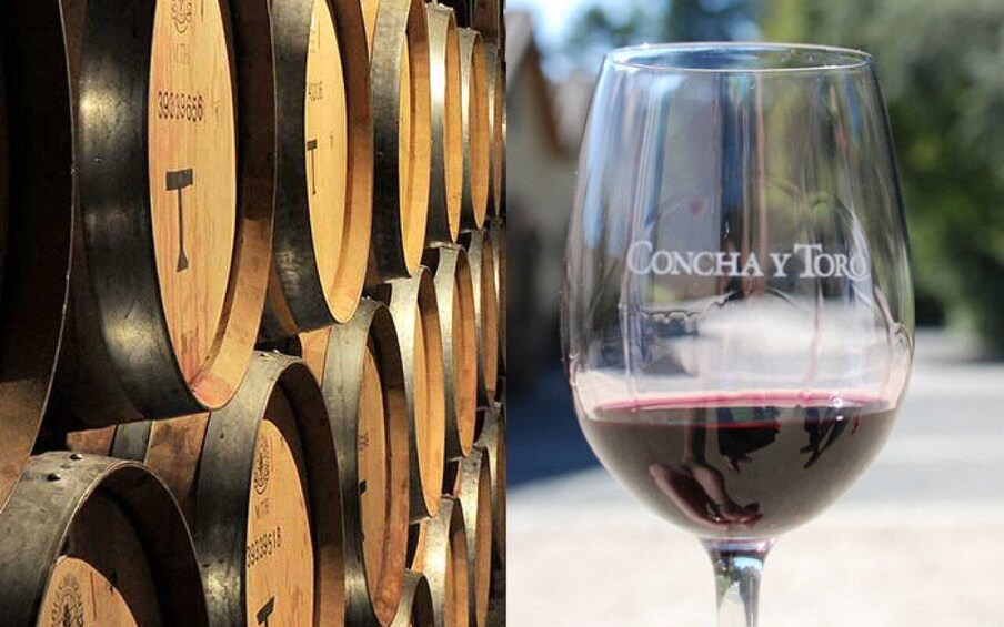 Picture 4 for Activity Santiago: Concha y Toro Vineyard Tour w/ Transfer & Tasting