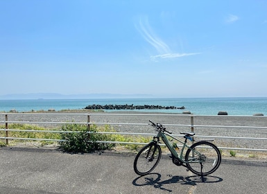 Shizuoka : Shimizu port, E-Bike Tour