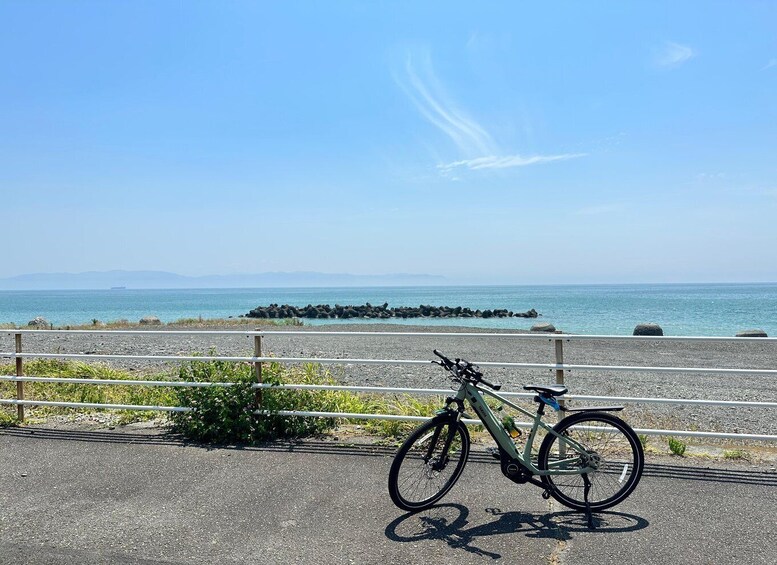 Shizuoka : Shimizu port, E-Bike Tour