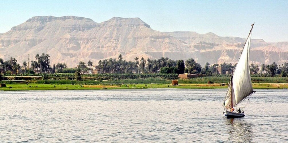 Picture 16 for Activity Luxor: 3-Day Nile Cruise to Aswan with Hot Air Balloon