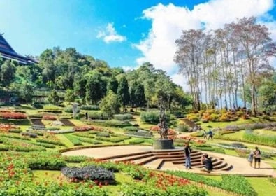 Naturvandring i Chandigarh (2 timmars vandringstur)