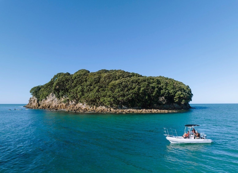 Picture 2 for Activity Discover Whangamata - Boat Tour