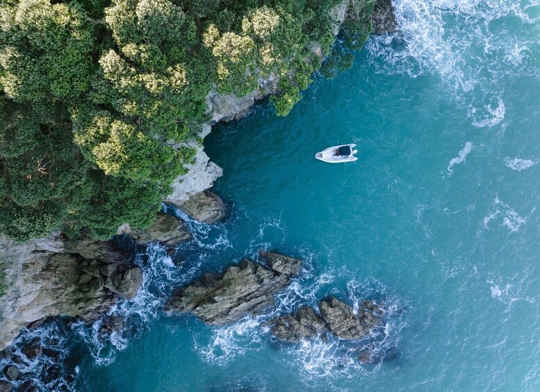 Picture 4 for Activity Discover Whangamata - Boat Tour