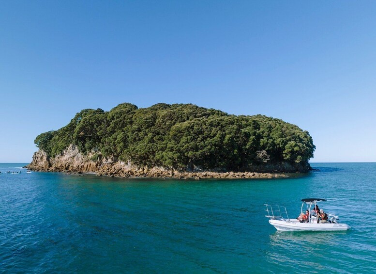 Picture 2 for Activity Discover Whangamata - Boat Tour