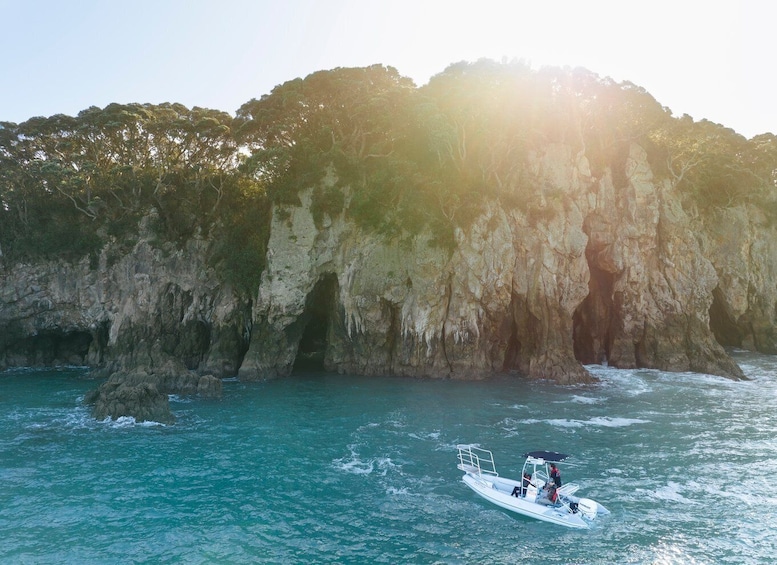 Picture 1 for Activity Discover Whangamata - Boat Tour