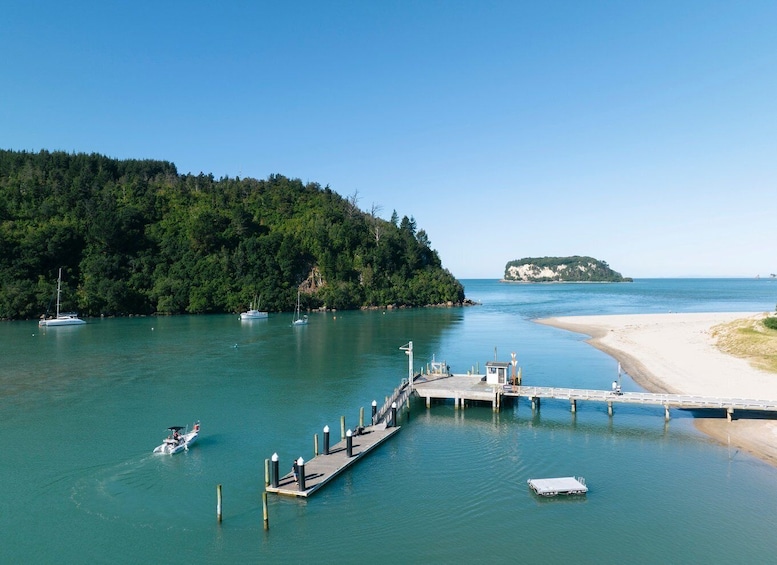 Picture 3 for Activity Discover Whangamata - Boat Tour