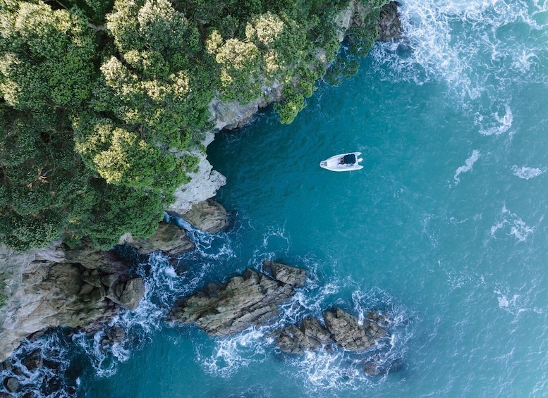 Picture 4 for Activity Discover Whangamata - Boat Tour